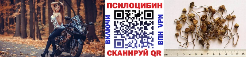 Галлюциногенные грибы Psilocybe  наркотики  кракен ссылки  Дзержинский 